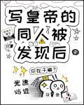 寫皇帝的同人被發現後